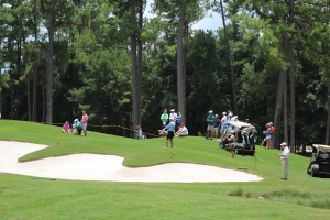 2015 Amateur Championship 113.JPG